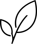 <p>Quality</p>