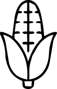 <p>Authenticity</p>